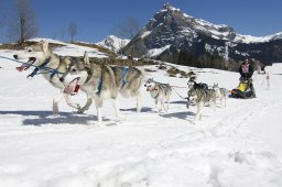 Kandersteg 2011